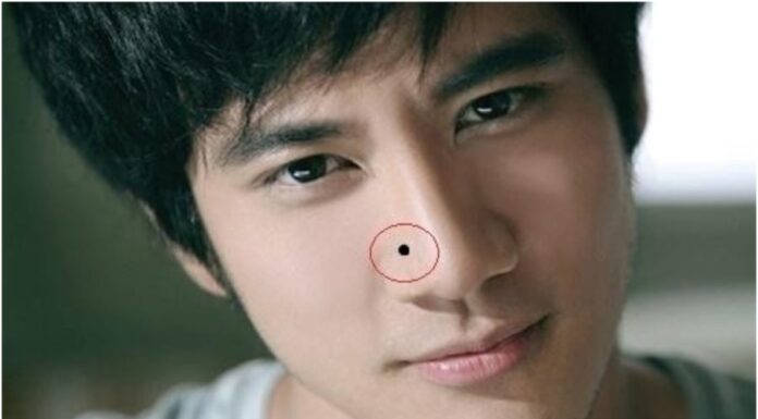 The Four Moles That Bring You Wealth: A Lifetime of Prosperity for Those With One or More