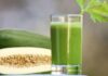 The Green Papaya Juice Revolution: Unveiling the 10 Astonishing Health Benefits