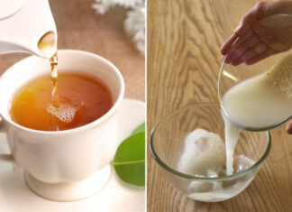 The Magic Potion for Your Plants: Four Types of Wastewater to Use for a Lush Garden