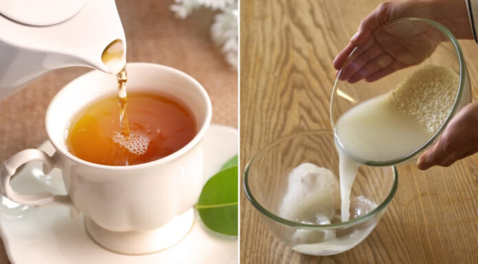 The Magic Potion for Your Plants: Four Types of Wastewater to Use for a Lush Garden