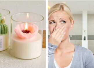 The Four Odor-Eliminating Strategies to Keep Your Bathroom Fresh and Bacteria-Free