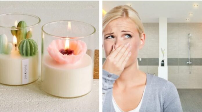 The Four Odor-Eliminating Strategies to Keep Your Bathroom Fresh and Bacteria-Free