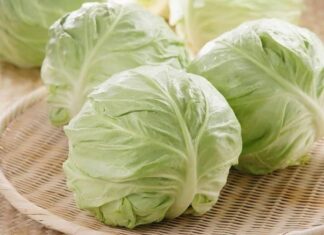 A Familiar Vegetable, An Unexpected Superpower: Lowering Cholesterol, Heart Protection, and Kidney Health