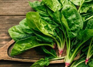 The Ultimate Superfood: A Leafy Green Delight for All Ages.