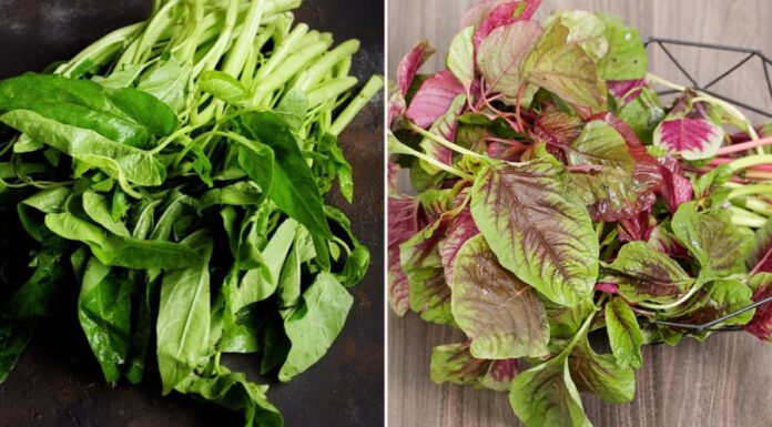 5 Common Vegetables Containing High Levels of Oxalic Acid: Aware of the Risks to Avoid Kidney Stones.