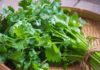 The Secret to Keeping Coriander Fresh and Flavorful for Longer.
