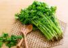 The Ultimate Guide to Storing Coriander: Keep it Fresh and Nutritious All Year Round