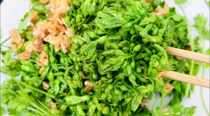 The Secret to Stir-Frying Heavenly Beauty Flower Like a Pro: A Tasty Take on a Delicate Ingredient