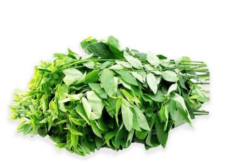 The Secret to Keeping Rau Ngót Fresh for Over a Week: Revitalize Wilted Greens with These Two Easy Methods