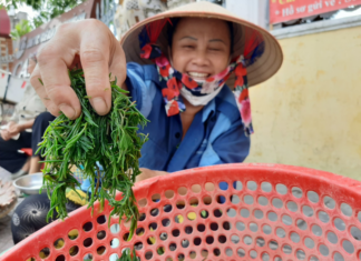 The Wild Vegetable: A Heavenly Treat, Nature’s Gift to Us.