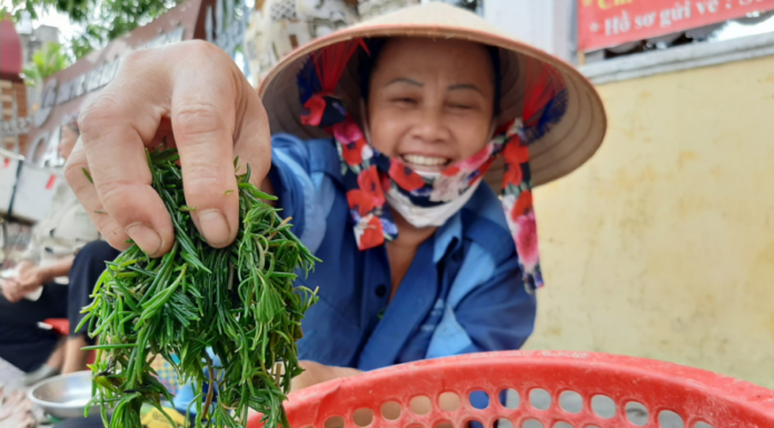 The Wild Vegetable: A Heavenly Treat, Nature’s Gift to Us.