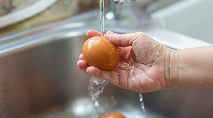 Should You Wash Eggs Before Refrigerating?