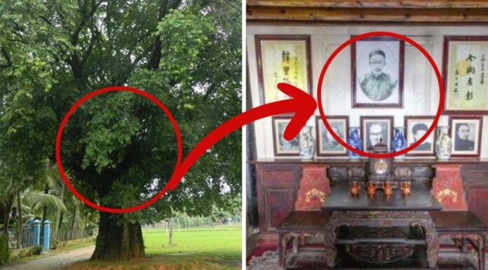 The Secret to Attracting Wealth: What Not to Do in Your Home and Garden