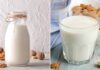 The Ultimate Guide to Plant-Based Milk: A Delicious and Nutritious Treat, But Beware If You Fall Into These 6 Groups