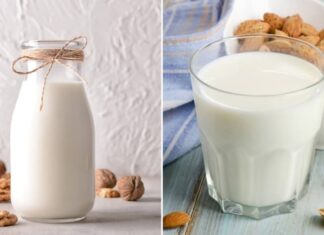 The Ultimate Guide to Plant-Based Milk: A Delicious and Nutritious Treat, But Beware If You Fall Into These 6 Groups