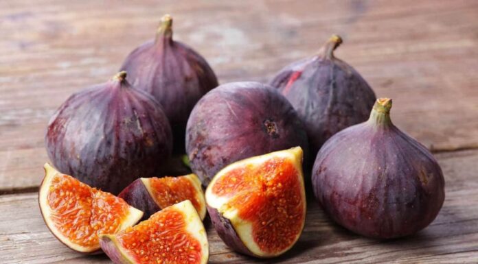 “Grow This Fruit That Bears Large, Delicious, and Sweet Fruits with High Economic Value and Ease of Cultivation.”