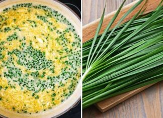 The Perfect Fried Egg: Discover the Japanese Secret to a Nutritional Powerhouse Side