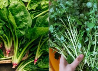 The 3 Healthy Foods That Can Wreak Havoc on Your Thyroid When Eaten in Excess