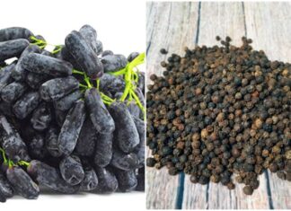 The Ultimate Superfoods: Discover the Power of Black Foods for Optimal Health