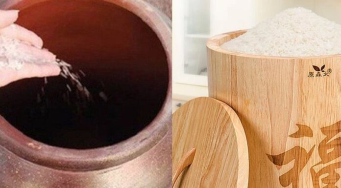 The Ancient Admonishment: Never Let These Three Things Fall into Emptiness, or Your Family Will Perish and Your Descendants Will Never Thrive