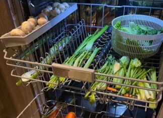 “The Dishwasher Wizard: How a Young Man’s Skill Made Chores a Breeze”