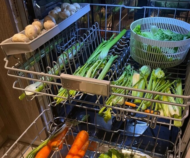 “The Dishwasher Wizard: How a Young Man’s Skill Made Chores a Breeze”