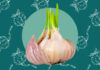 The Garlic You Should Never Buy