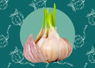 The Garlic You Should Never Buy