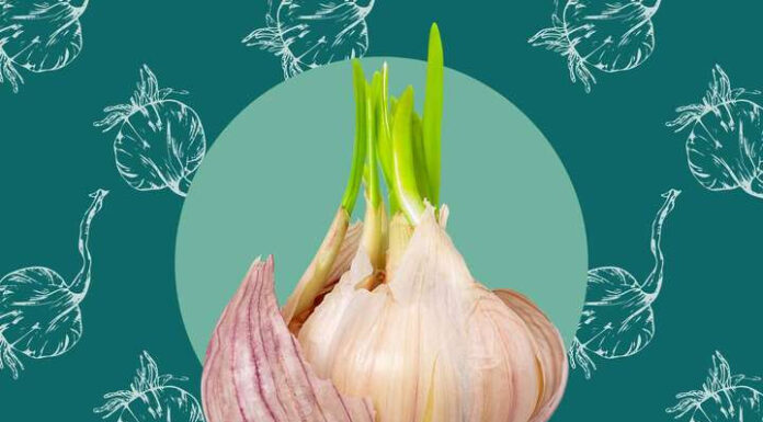 The Garlic You Should Never Buy
