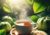 8 Reasons Why You Should Drink Guava Leaf Tea Daily: Weight Loss, Glowing Skin and More