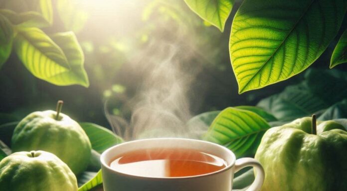 8 Reasons Why You Should Drink Guava Leaf Tea Daily: Weight Loss, Glowing Skin and More
