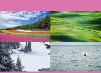 The Ultimate Relaxation: Unwind and Escape in Your Personal Sanctuary