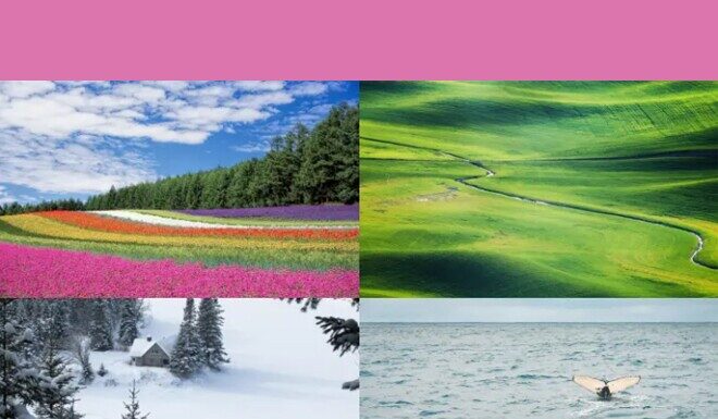 The Ultimate Relaxation: Unwind and Escape in Your Personal Sanctuary