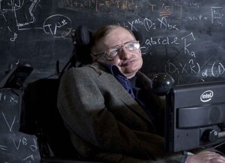 The Early Signs of a Child Prodigy: 4 Actions That Indicate Exceptional Intelligence