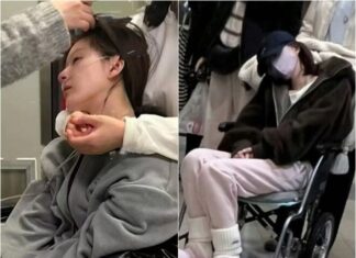 The Alluring Transcendent: A Vision of Ethereal Beauty, the Successor to Zhao Liying’s Reign