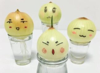 “Grow Onions Indoors for Beauty, Air Purification, Stress Relief, and Cold Cure”