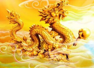 The Year 2025: Four Chinese Zodiac Signs Overcome Challenges to Conquer their Careers, Yet Struggle to Escape Singlehood Despite Abundant Wealth.