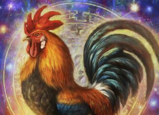 The Lucky 15: Where Wishes Come True, Abundance Without the Hustle