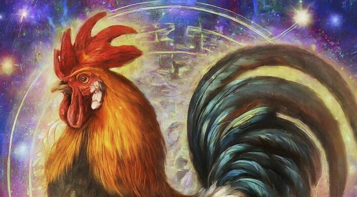 The Lucky 15: Where Wishes Come True, Abundance Without the Hustle