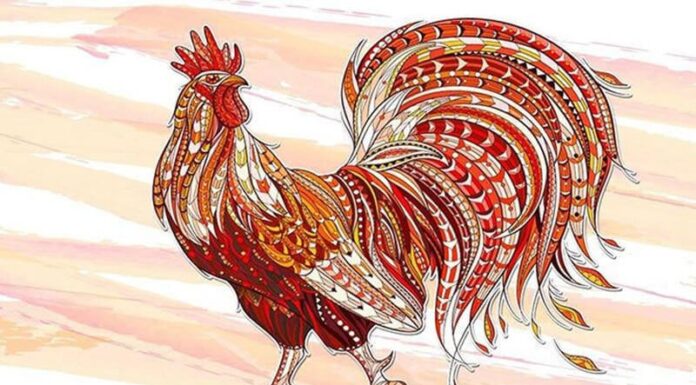 The Golden Age of Prosperity: 2025 Wood Snake, 3 Years of Abundance and Fortune, Buying a House and a Car with Ease