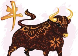 The Final Five: Illuminating the Last Days of 2024: A 4-Year-Old’s Gateway to Wealth and Prosperity, with a Special Focus on the Luckiest Number 1