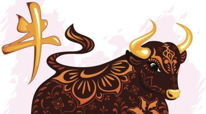 The Final Five: Illuminating the Last Days of 2024: A 4-Year-Old’s Gateway to Wealth and Prosperity, with a Special Focus on the Luckiest Number 1