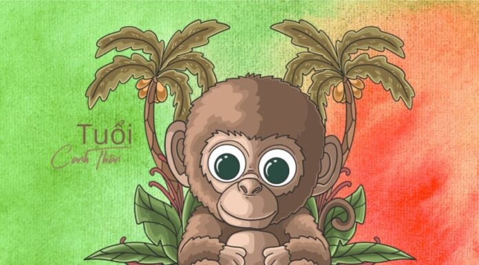 3 Zodiac Signs to Experience a Financial Windfall in the First 10 Days of December 2024