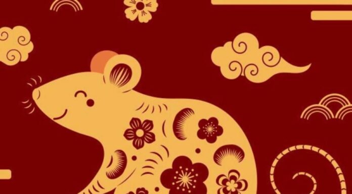 The Lucky 3: Zodiac Signs to Experience a Year of Abundance in 2025