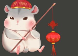 The Lucky Numbers for the 12 Zodiac Animals to Prosper and Attract Wealth