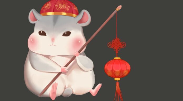 The Lucky Numbers for the 12 Zodiac Animals to Prosper and Attract Wealth