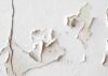 The Ultimate Guide to Fixing Peeling and Crumbling Walls: A Cost-Effective Solution for Every Homeowner