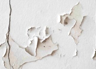 The Ultimate Guide to Fixing Peeling and Crumbling Walls: A Cost-Effective Solution for Every Homeowner
