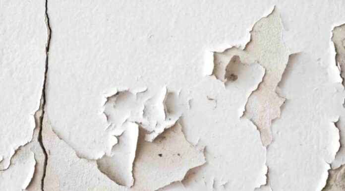 The Ultimate Guide to Fixing Peeling and Crumbling Walls: A Cost-Effective Solution for Every Homeowner