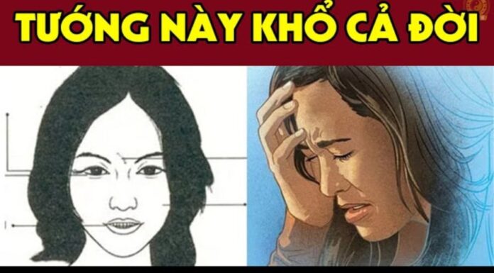 The Four Unfortunate Features That Predict a Life of Hardship and Loneliness for Women: A Blessing to Those Who Don’t Possess Them